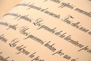 DETALLE PÁRRAFO DE UN LIBRO