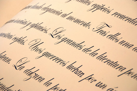 DETALLE P&Aacute;RRAFO DE UN LIBRO