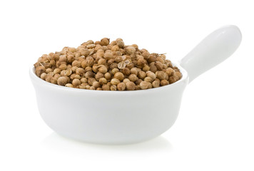 coriander spices  isolated on white