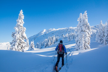 Fototapeta na wymiar Wycieczka narciarska w śnieżnych górach