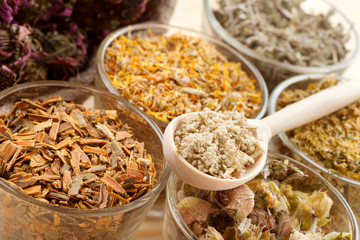 healing herbs in glass cups, herbal medicine