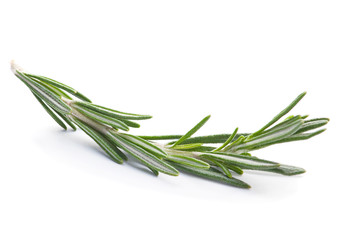 Fototapeta premium Rosemary twig herb