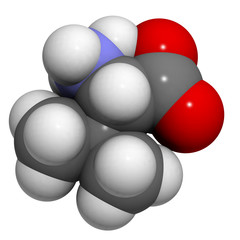 Valine (Val, V) amino acid, molecular model.