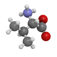 Valine (Val, V) amino acid, molecular model.