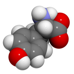 Tyrosine (Tyr, Y) amino acid, molecular model.