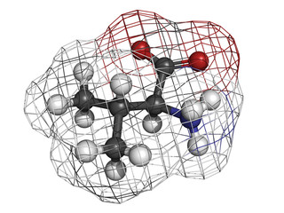 Valine (Val, V) amino acid, molecular model.