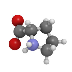 Proilne (Pro, P) amino acid, molecular model.