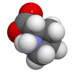 Proilne (Pro, P) amino acid, molecular model.