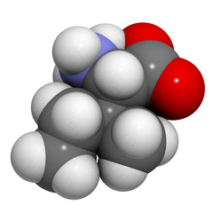 Isoleucine (Ile, I) amino acid, molecular model.