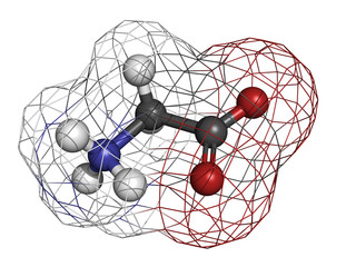 Glycine (Gly, G) amino acid, molecular model.