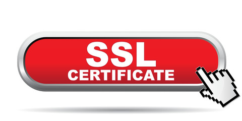 SSL CERTIFICATE ICON