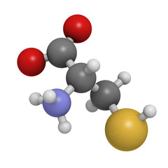 Cysteine (Cys, C) amino acid, molecular model.