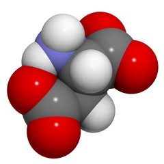 Aspartic acid (Asp, D, aspartate)amino acid, molecular model.