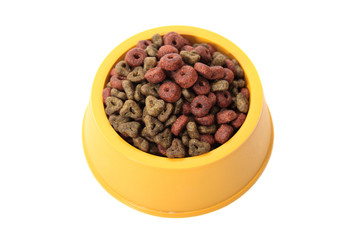 Full dog bowl