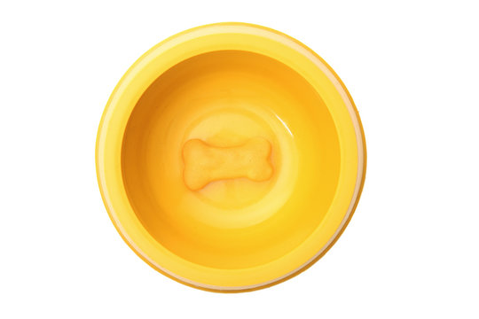 Dog bowl and bone