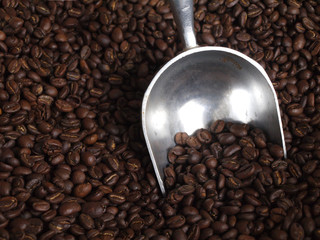 coffee bean