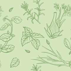 Seamless pattern with herbs