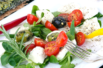 Italienische Spezialitäten genießen: Tomaten, Mozarella, Oliven