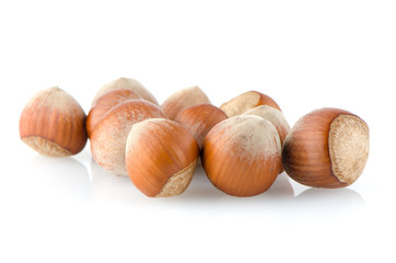 Fresh hazelnuts