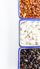 three kinds of raw kidney beans