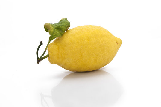 yellow sicilian fresh lemon