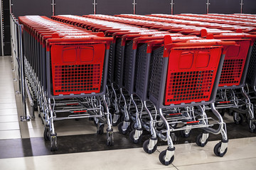 rows of shopping cart in the store