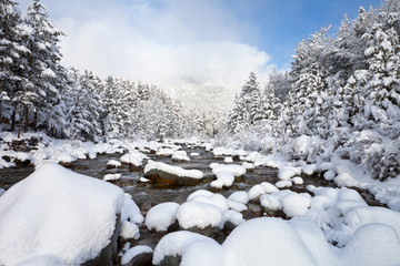 Mountain stream and a forest after snowfall