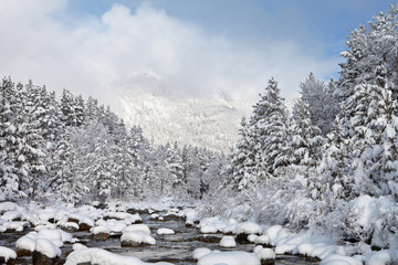 Beautiful winter forest and mountain river