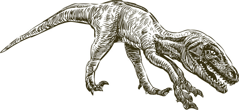 dinosaur