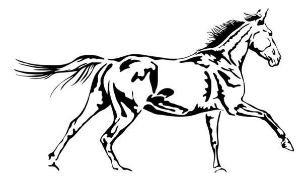 galloping horse in black and white vector outline