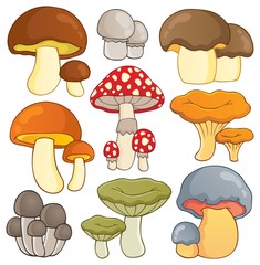 Mushroom theme collection 1