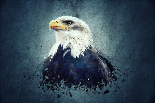 Eagle