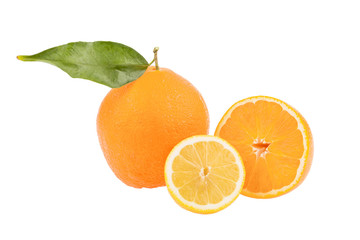 Spiegelung einer Orange