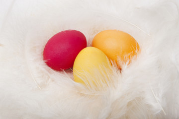 Drei Bunte Eier im Nest