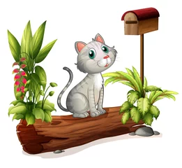 Photo sur Plexiglas Chats Un chat au-dessus d& 39 un tronc près de la boîte aux lettres en bois
