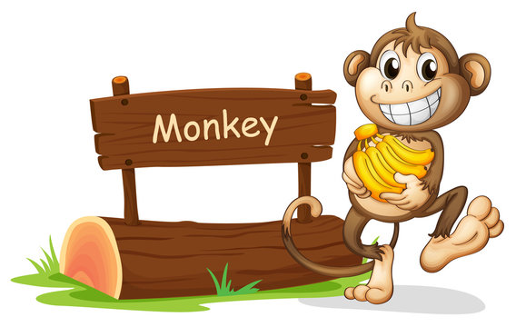 A monkey holding bananas