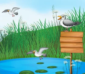 Papier Peint photo autocollant Oiseaux, abeilles Trois oiseaux à l& 39 étang avec une pancarte