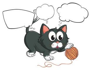 A black cat and the empty callouts