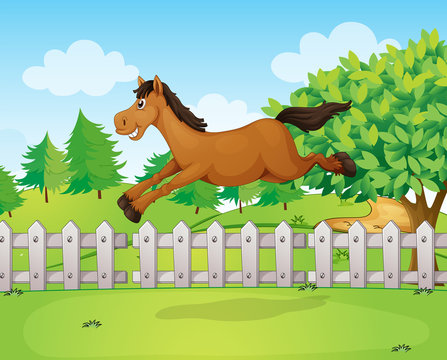 A horse jumping over the fence