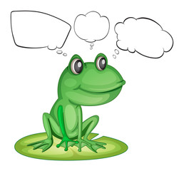 An amphibian and the empty callouts