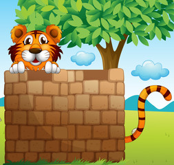 A  tiger hiding on a pile of bricks