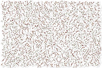 collage with floral images