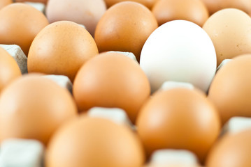 Fresh eggs in carton box
