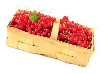 Rote Johannisbeeren
