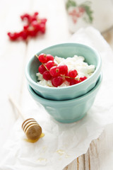 Fresh cottage cheese with red currant and honey