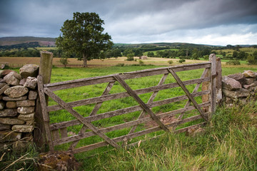 Wooden Farm Gate, England