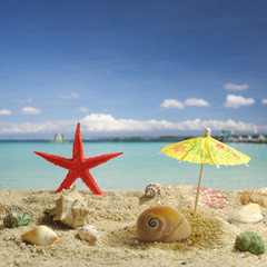 Nautilus under sun umbrella shadow