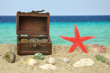- Red Starfish on beatch with treasure