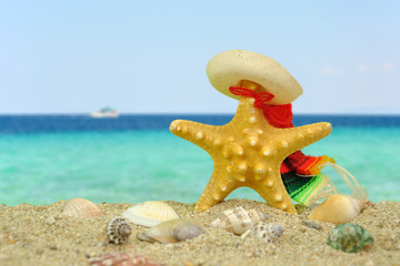 Starfish with sombrero