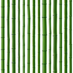 Seamless background of green bamboo forest.